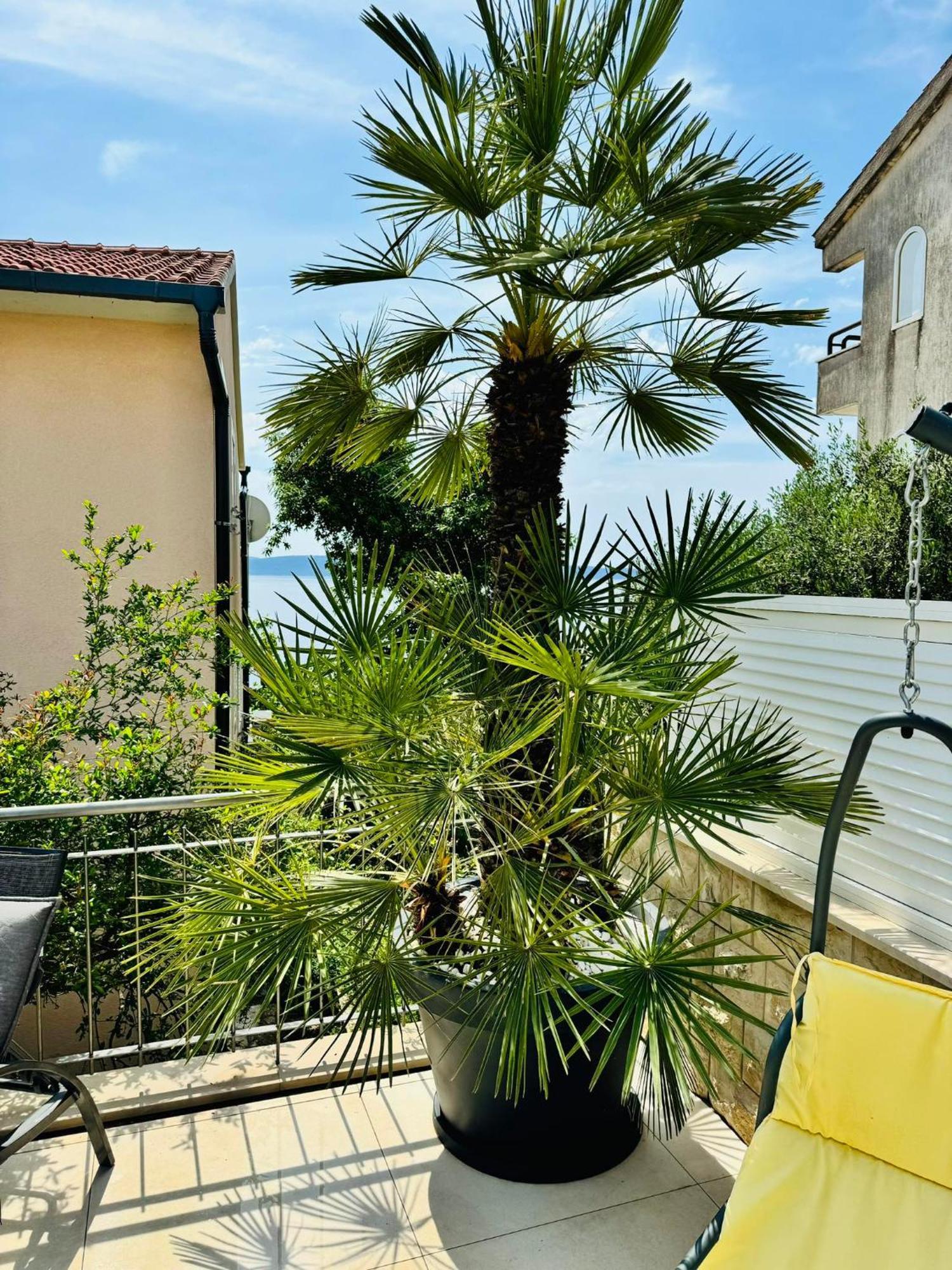 Villa Sirenis Trogir Zewnętrze zdjęcie